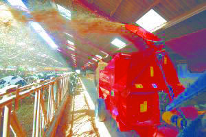 SHREDEX-853-009-jpg-g18ntc83p4